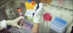 Исследование крови в лаборатории